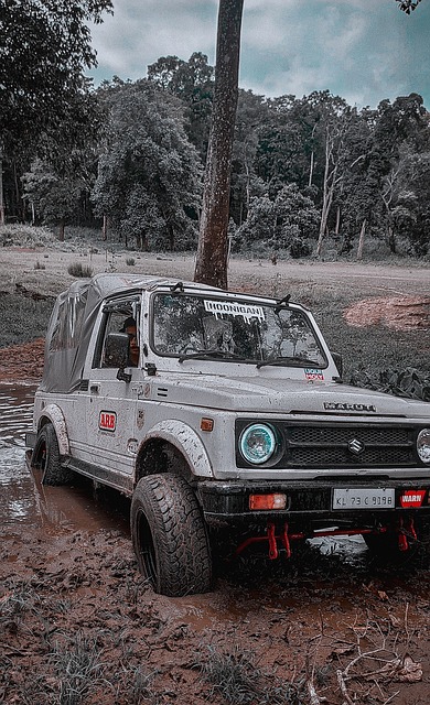 显得更加有 显得更加有