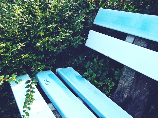 也是一个需 也是一个需