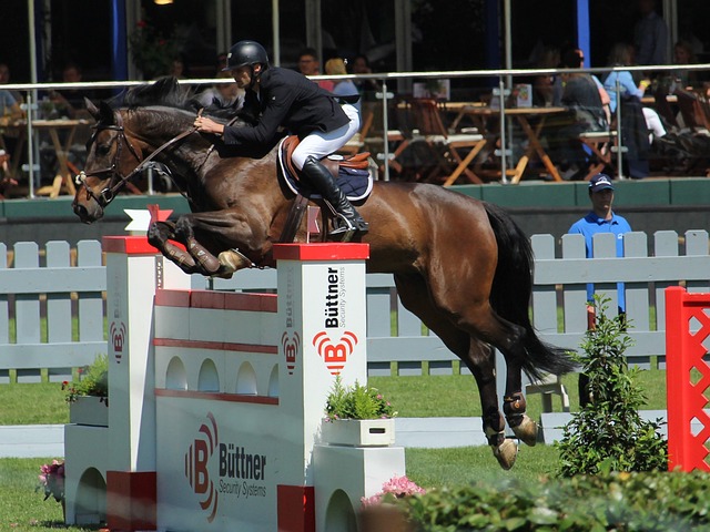 高水平竞技 高水平竞技