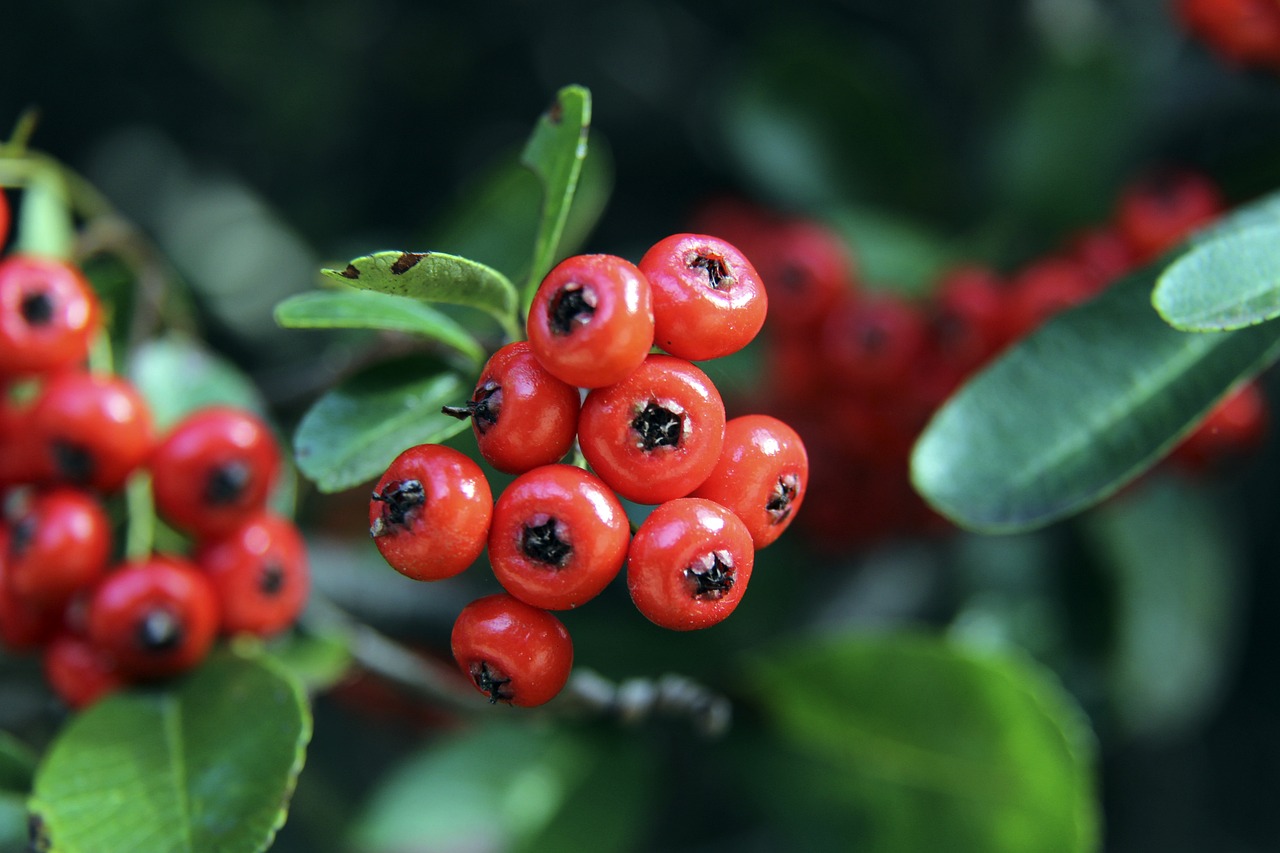 改进在她争 改进在她争